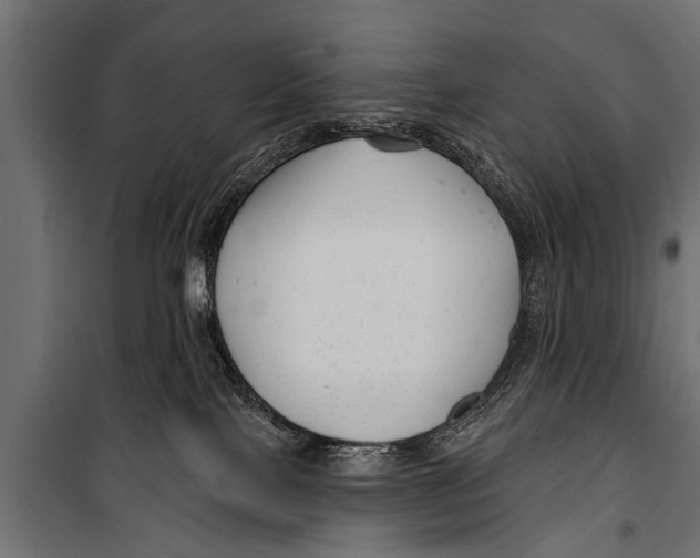 X0000099960089200806201347