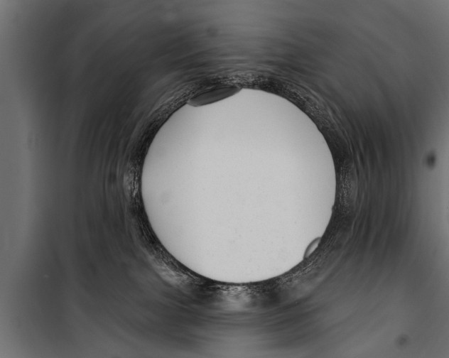 X0000099960091200806201347