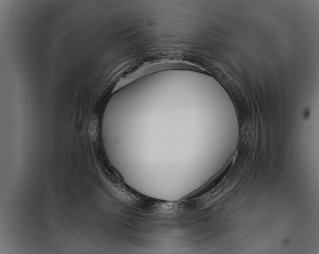 X0000099960092200806201347
