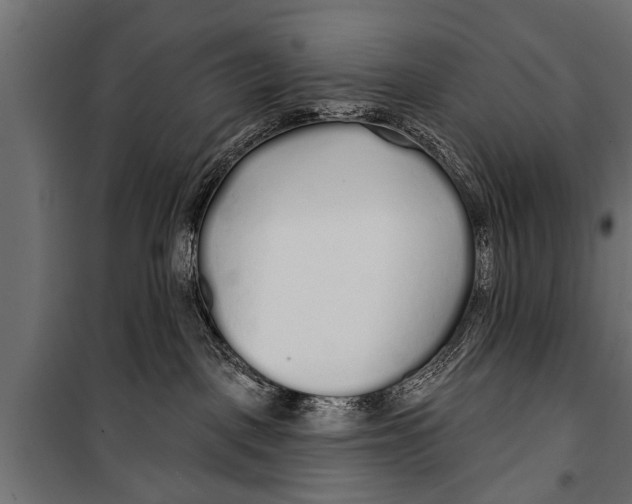 X0000099960093200806201347