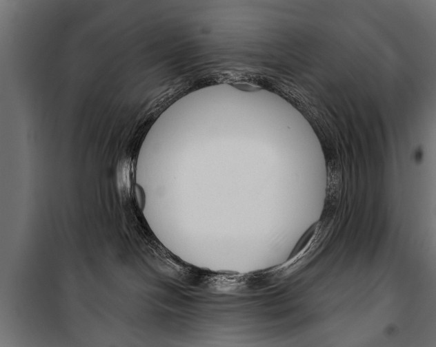 X0000099960094200806201347