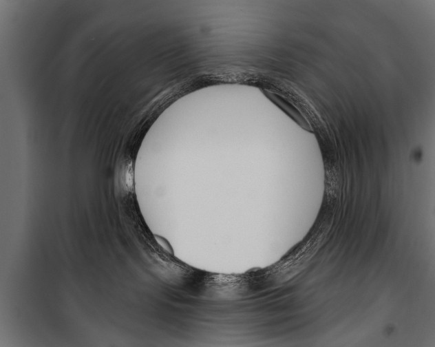 X0000099960095200806201347