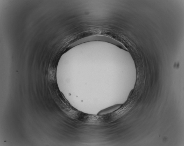X0000099960096200806201347