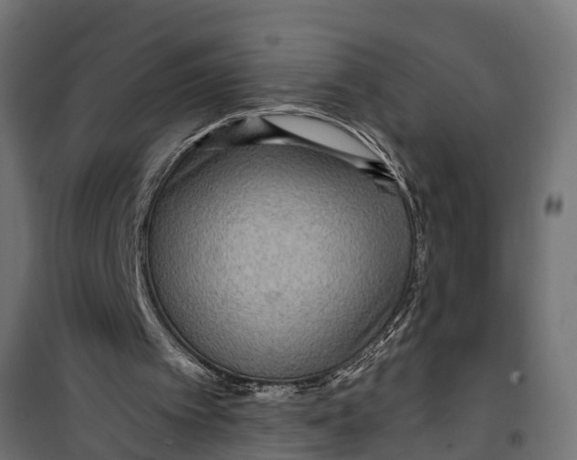 X0000099960097200806201347
