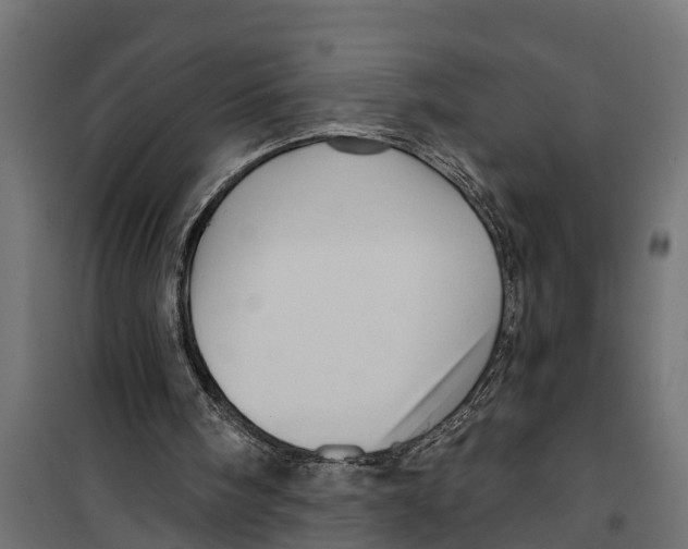 X0000099960098200806201347