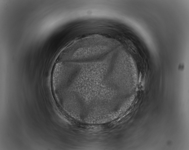 X0000099960099200806201347