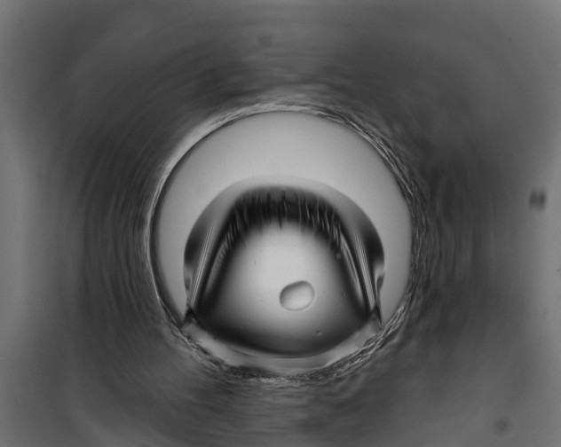 X0000099960100200806201347