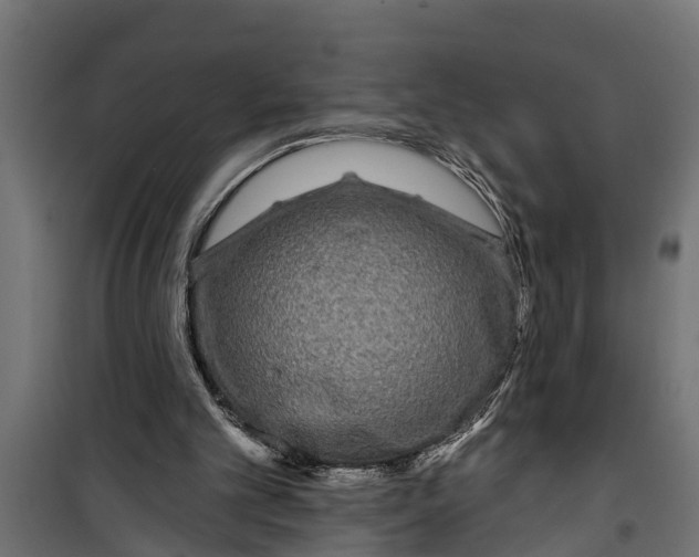 X0000099960101200806201347