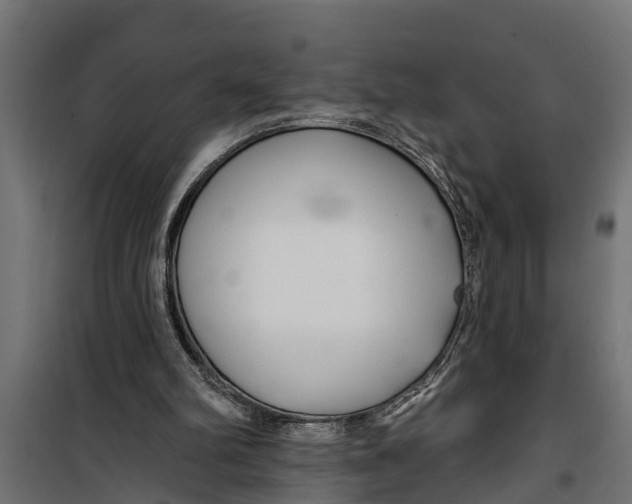 X0000099960102200806201347