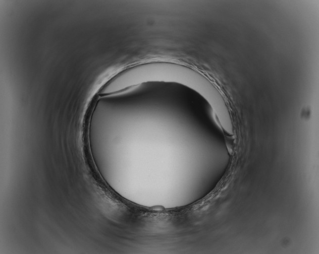 X0000099960104200806201347