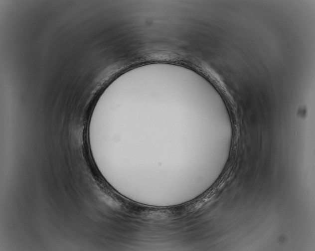 X0000099960106200806201346