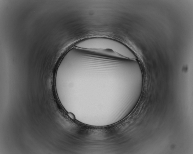 X0000099960107200806201346