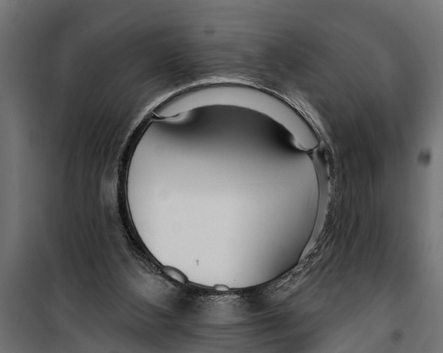 X0000099960108200806201346