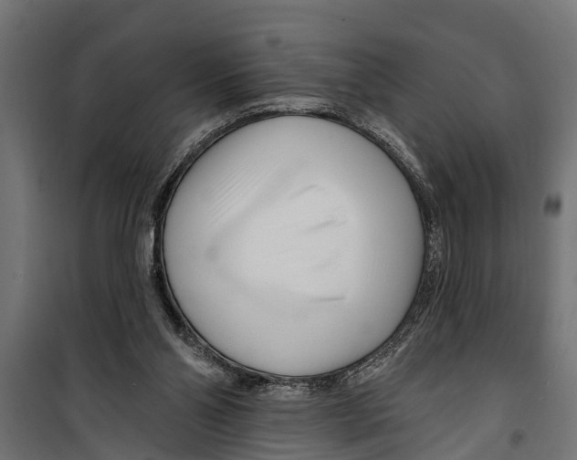 X0000099960110200806201346