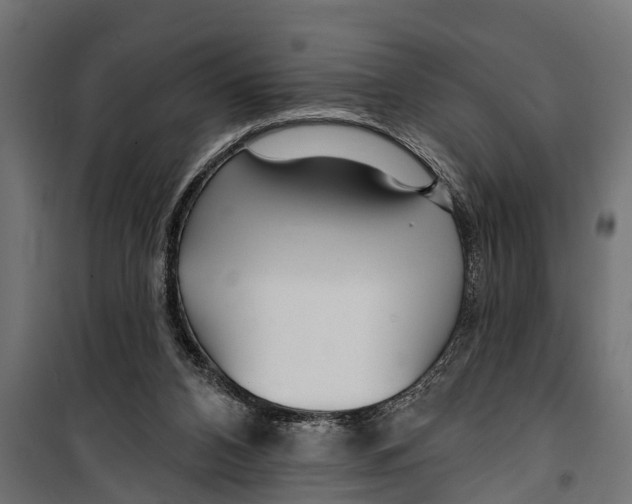 X0000099960112200806201346