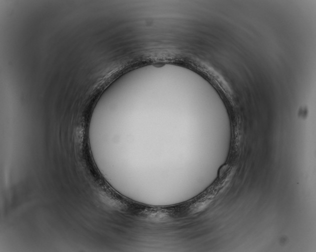 X0000099960113200806201346