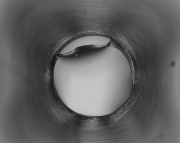 X0000099960116200806201346