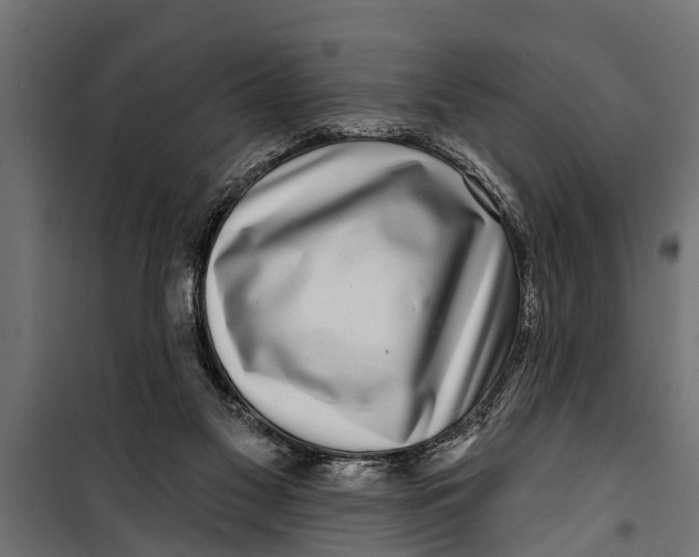 X0000099960117200806201346