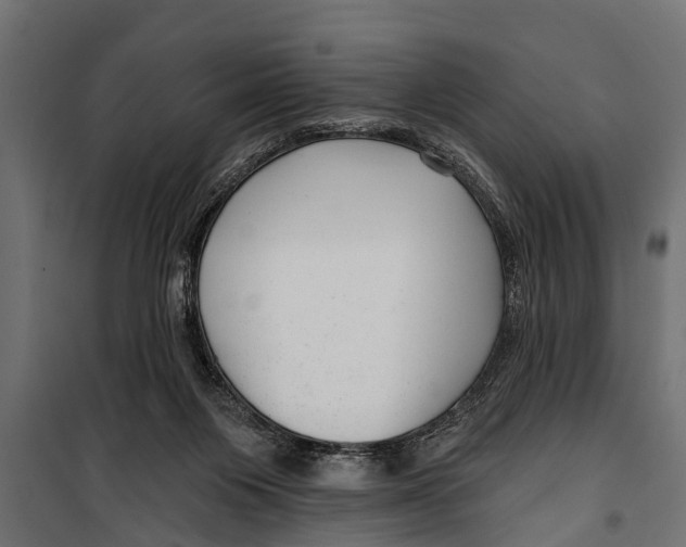 X0000099960119200806201346