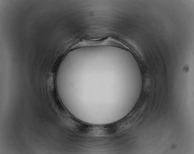X0000099960121200806201346