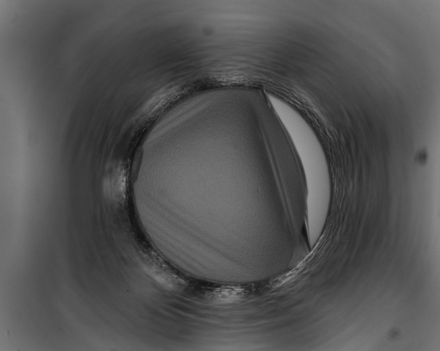X0000099960124200806201346