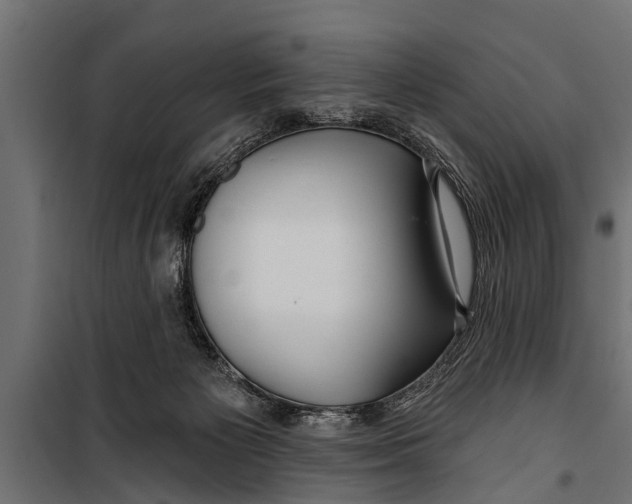 X0000099960125200806201346