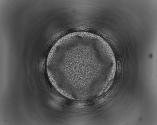 X0000099960127200806201346