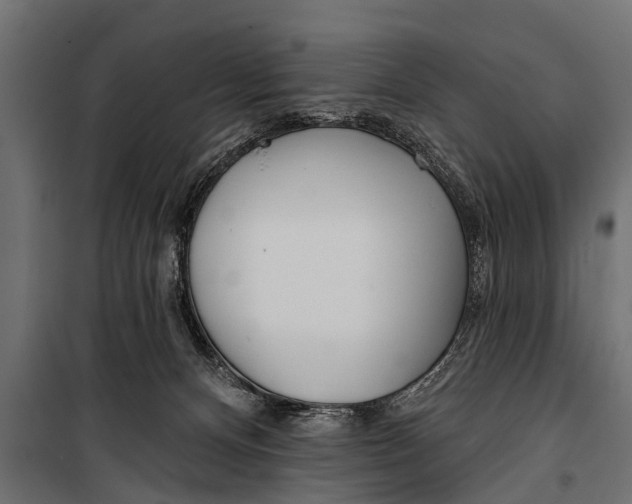 X0000099960128200806201346