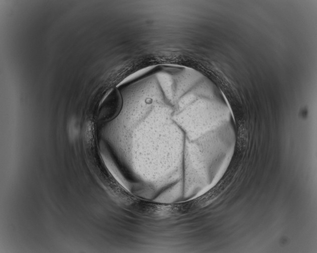 X0000099960130200806201346