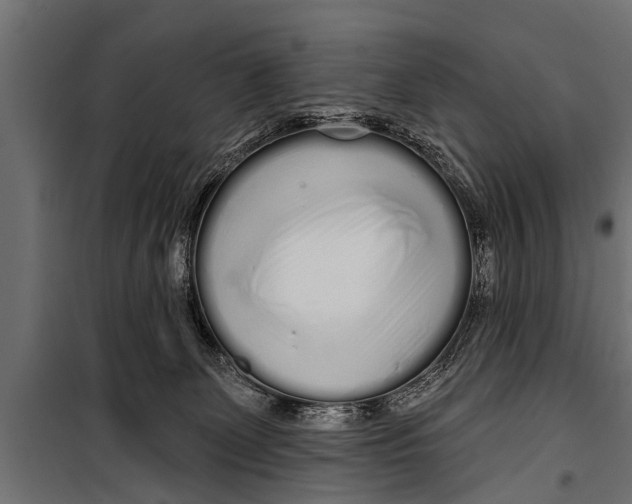 X0000099960131200806201346