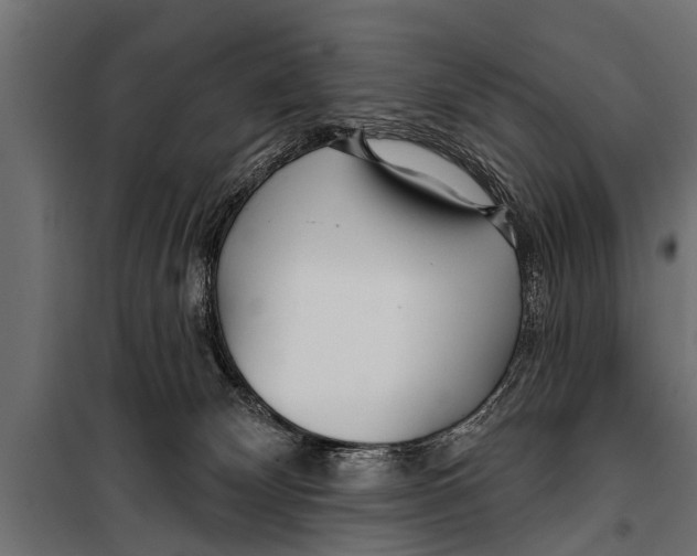 X0000099960132200806201346