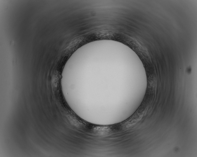 X0000099960133200806201346