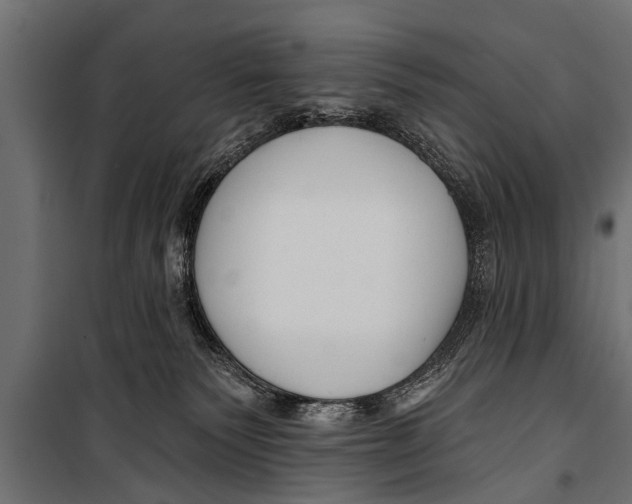 X0000099960135200806201346
