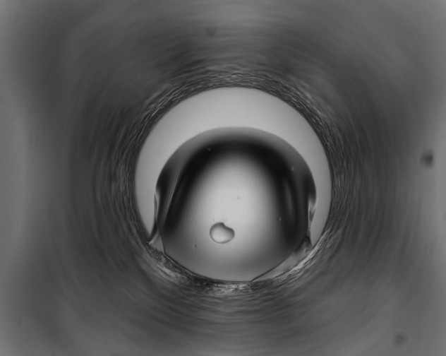 X0000099960136200806201346