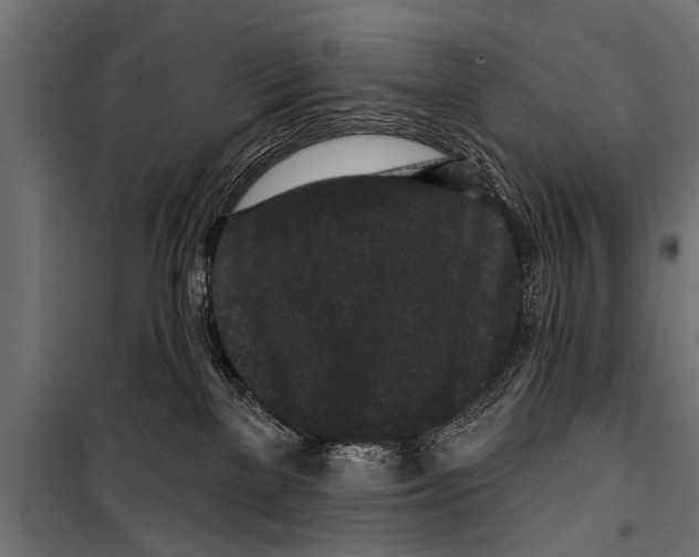 X0000099960137200806201346