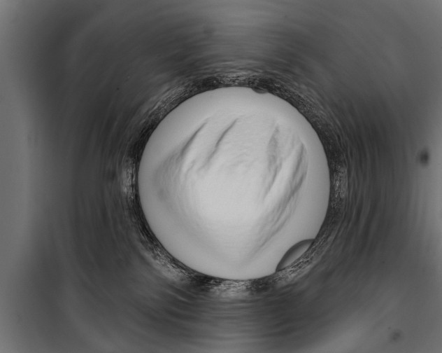 X0000099960138200806201346