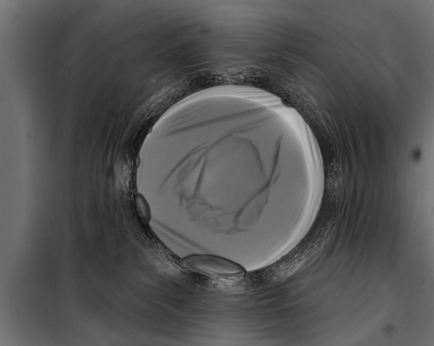X0000099960139200806201346