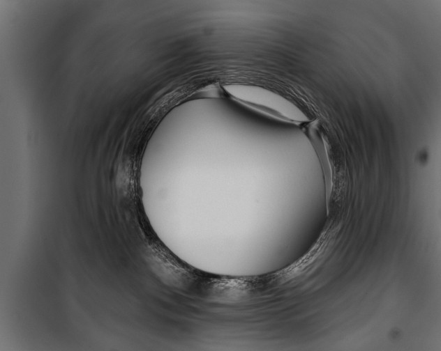 X0000099960140200806201346