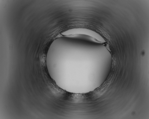 X0000099960141200806201346