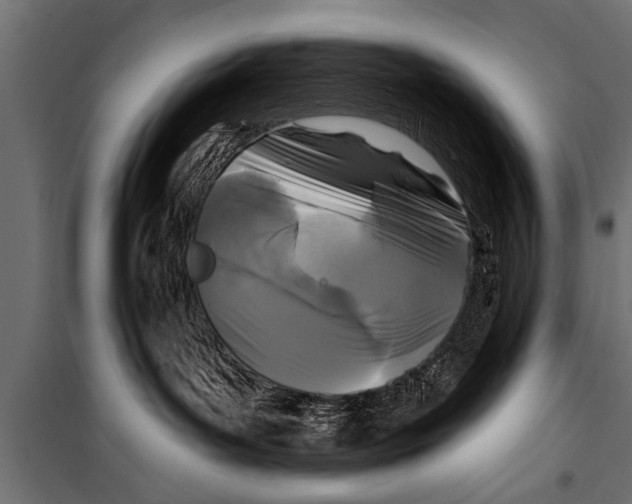 X0000099960143200806201346