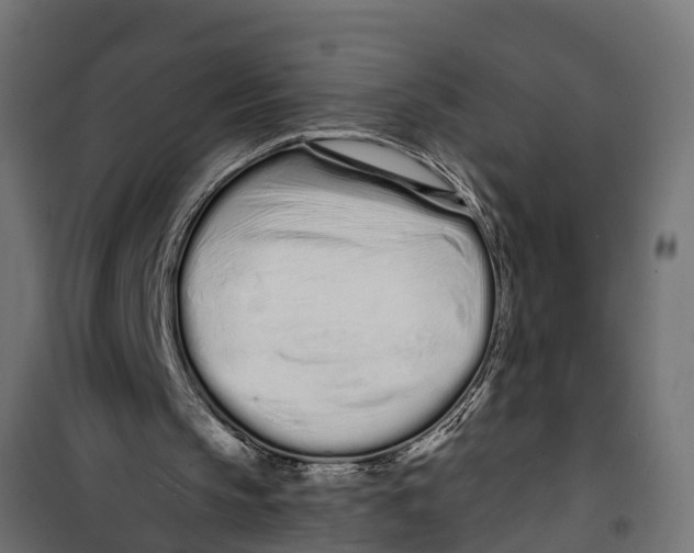 X0000099960145200806201345