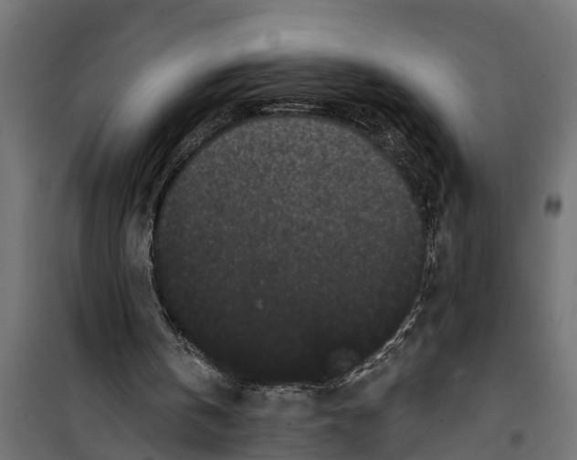 X0000099960146200806201345