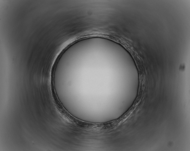 X0000099960148200806201345