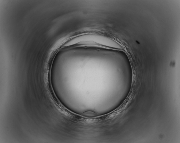 X0000099960149200806201345