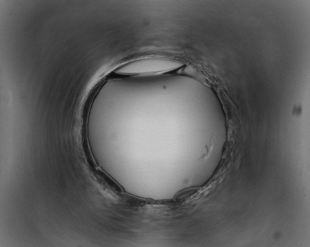 X0000099960150200806201345