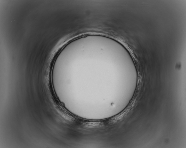 X0000099960151200806201345