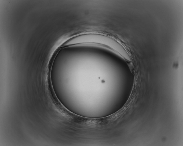 X0000099960152200806201345