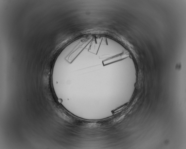 X0000099960153200806201345