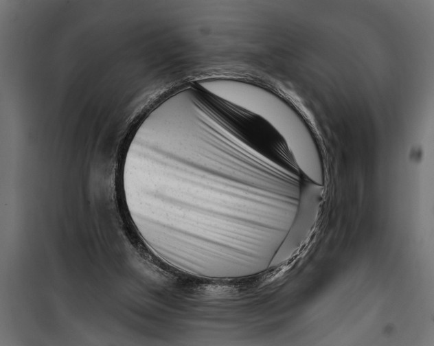 X0000099960154200806201345