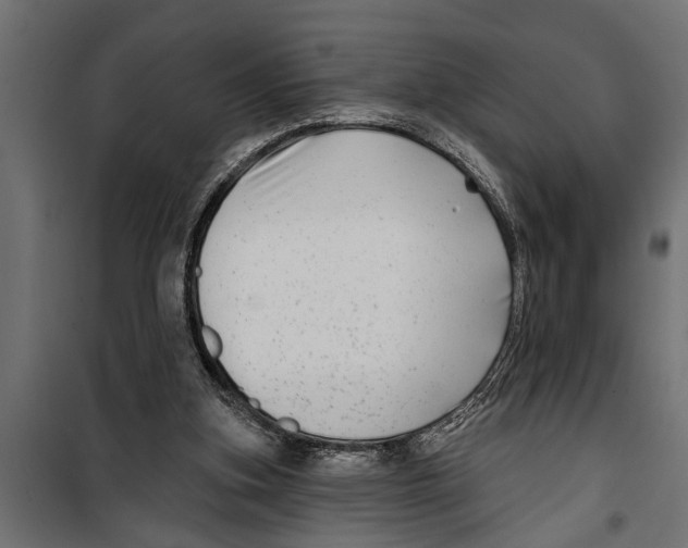X0000099960155200806201345